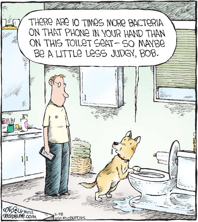 Speed Bump for Mar 28, 2025