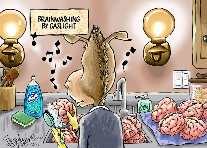 Al Goodwyn for Nov 12, 2024