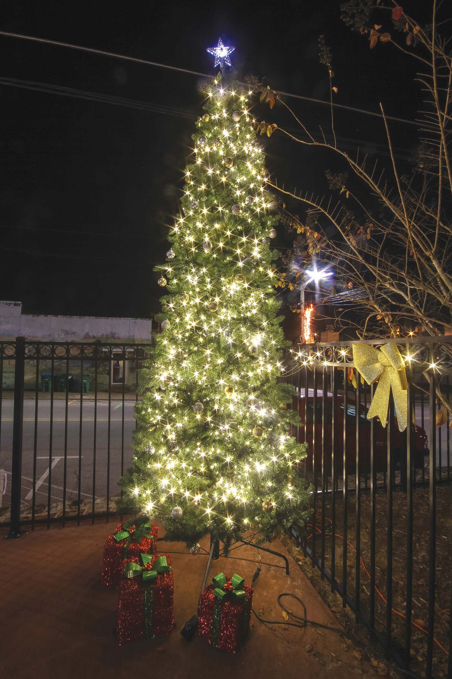 Christmas trees light up the night in Newton and Union during their respective tree lighting ceremonies.