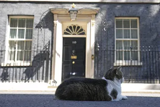 Larry the Cat, Britain's Chief Mouser to the Cabinet Office rests in front of 10 Downing Street in London, Friday, July 8, 2022. Britain's Prime Minister Boris Johnson announced that less than three years after becoming prime minister, he was resigning and would remain in office only until a successor emerged.(AP Photo/Frank Augstein)