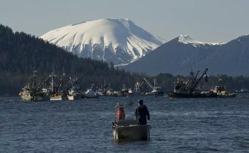 Boats jockey for position minutes before the opening of the Sitka Sound sac roe herring fishery on March 23, 2014, in Sitka, Alaska. Sitka is the home port for a charter fishing boat that sank in nearby waters killing three and leaving two lost at sea in late May 2023. The tragedy has put a spotlight on the safety of southeast Alaska's vibrant charter fishing industry and on the port town of Sitka, where charter operators charge thousands of dollars per person for guided fishing trips. (James Po