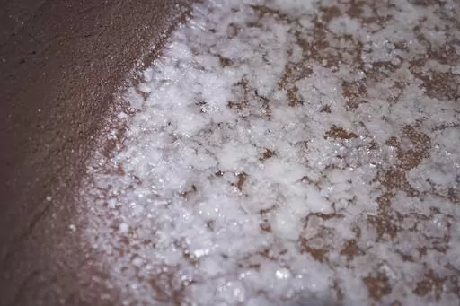 Salt begins to form in one of the dozens of salt beds in the Hanapepe salt patch on Kauai Island on Wednesday, July 12, 2023, in Hanapepe, Hawaii. This Native Hawaiian salt has been hand made for generations. And as a part of the culture and spiritual practice, it has always been given away or traded, but never sold. (AP Photo/Jessie Wardarski)