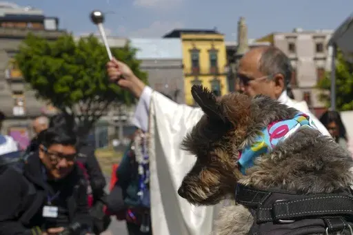 Rev. José Antonio Carballo, rector of the Metropolitan Cathedral, celebrates the annual blessing of the animals Mass at Mexico City's Metropolitan Cathedral, Friday, Jan. 17, 2025. (AP Photo/Marco Ugarte)