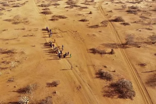 People arrive at a displacement camp on the outskirts of Dollow, Somalia, Sept. 21, 2022 amid a drought. A new report says an estimated 43,000 people died amid the longest drought on record in Somalia last year and half of them likely were children. (AP Photo/Jerome Delay, File)