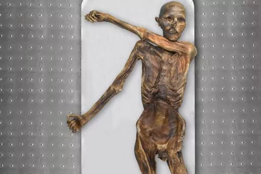 This photo provided by The South Tyrol Museum of Archaeology shows "Oetzi the Iceman," one of the oldest human glacier mummies. Decades after he was discovered in the Italian Alps, scientists determined that Oetzi was mostly descended from farmers from present day Turkey, and his head was balder and skin darker than what was initially thought, according to a study published Wednesday, Aug. 16, 2023, in the journal Cell Genomics. (Marco Samadelli, Gregor Staschitz/South Tyrol Museum of Archaeolog