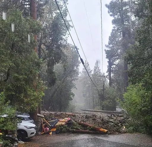 In this photo released by the San Bernardino County Fire Department, a fallen tree and other debris blocks a road in Forest Falls after a mudslide in San Bernardino County, Calif., on Monday, Sept. 12, 2022.  (San Bernardino County Fire Department via AP)