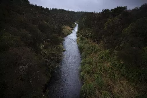 The upper reaches of New Zealand's Whanganui River flow on June 16, 2022. In 2017, New Zealand passed a groundbreaking law granting personhood status to the Whanganui River. The law declares that the river is a living whole, from the mountains to the sea, incorporating all its physical and metaphysical elements. (AP Photo/Brett Phibbs)