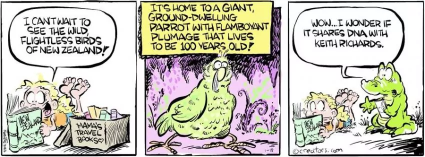 Shrimp and Grits for Jan 18, 2024