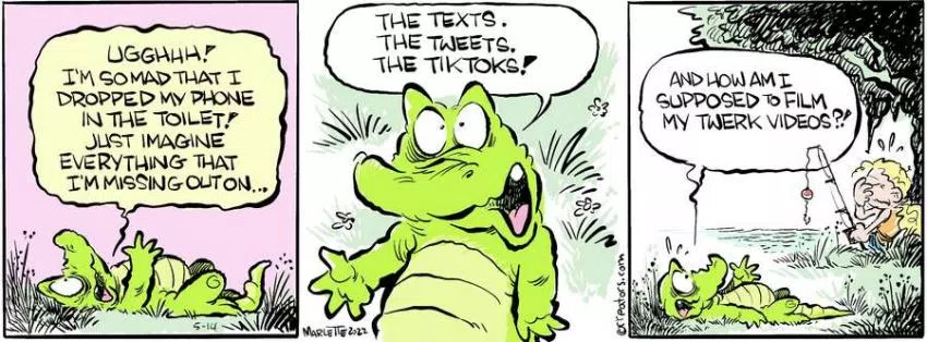 Shrimp and Grits for May 14, 2024