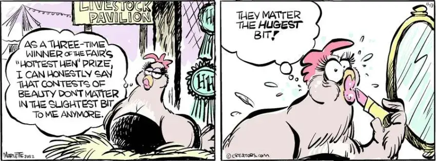 Shrimp and Grits for Nov 13, 2024