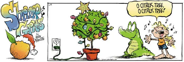 Shrimp and Grits for Dec 08, 2024